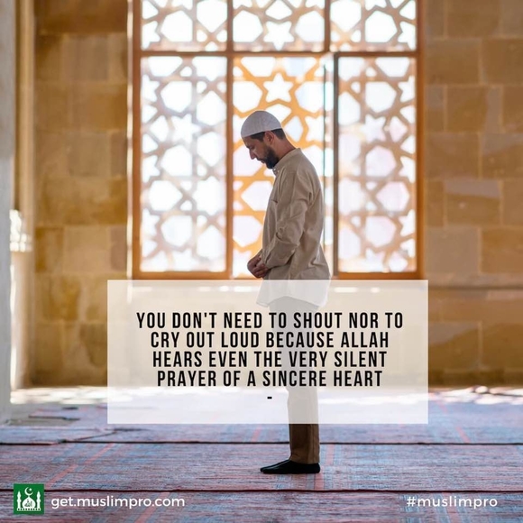 Meet your Posher, James - Picture 1 of 1